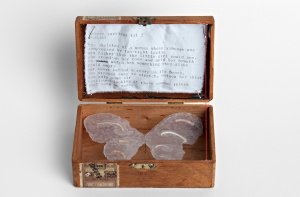 Joanne Grüne-Yanoff "ButterflyBox (MütterMuseum)" 2011